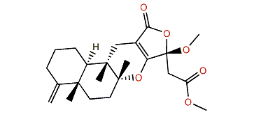 Dactylolactone C